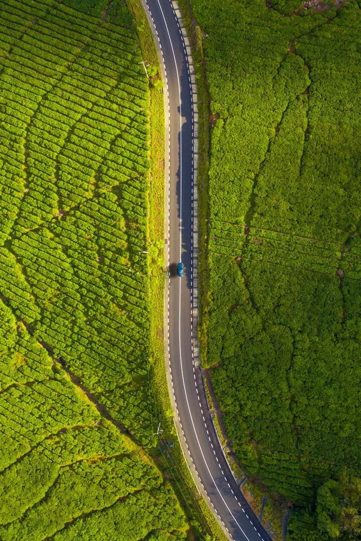 L'Île Maurice : Un paradis tropical pour un style de vie inédit. Plages de rêve, nature luxuriante et parcours de golf renommés vous invitent à vivre au rythme des tropiques.