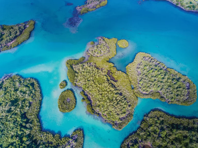 L'Île Maurice : Un paradis tropical pour un style de vie inédit. Plages de rêve, nature luxuriante et parcours de golf renommés vous invitent à vivre au rythme des tropiques.