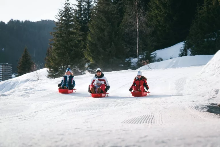 Descendez les pistes enneigées, respirez l'air frais des montagnes et vivez des moments inoubliables dans un cadre idyllique. La vie en montagne, c'est la passion du ski à l'état pur.