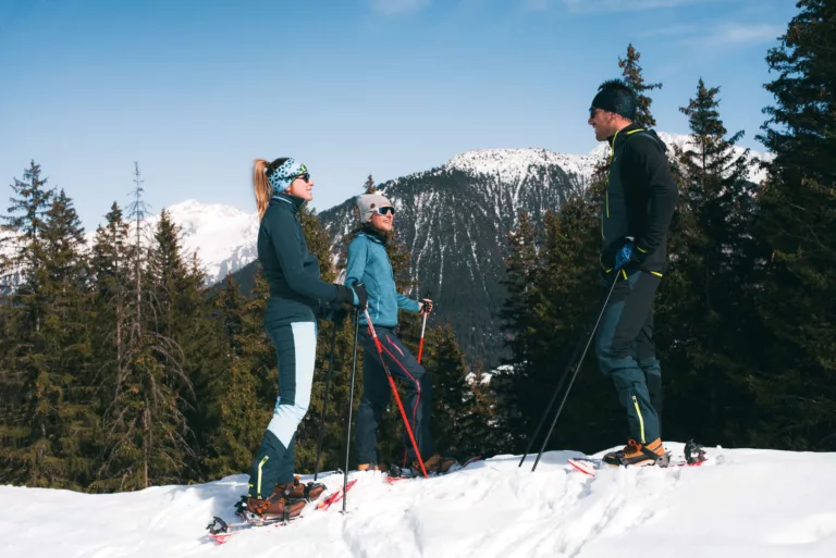 Descendez les pistes enneigées, respirez l'air frais des montagnes et vivez des moments inoubliables dans un cadre idyllique. La vie en montagne, c'est la passion du ski à l'état pur.