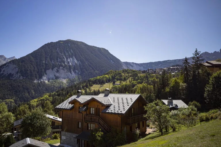 Descendez les pistes enneigées, respirez l'air frais des montagnes et vivez des moments inoubliables dans un cadre idyllique. La vie en montagne, c'est la passion du ski à l'état pur.