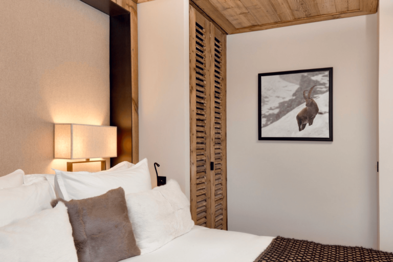 651ffb5a0852f531f79bd2f7_stella 001 (4)